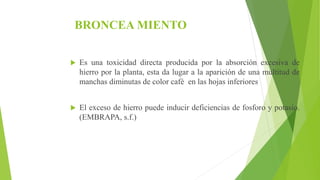 BRONCEA MIENTO
 Es una toxicidad directa producida por la absorción excesiva de
hierro por la planta, esta da lugar a la aparición de una multitud de
manchas diminutas de color café en las hojas inferiores
 El exceso de hierro puede inducir deficiencias de fosforo y potasio.
(EMBRAPA, s.f.)
 