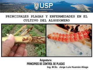 Ing. M.Sc. Jorge Luis Huamán Aliaga
Asignatura:
PRINCIPIOS DE CONTROL DE PLAGAS
 