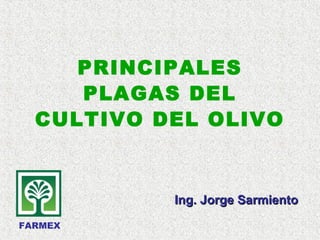 PRINCIPALES
PLAGAS DEL
CULTIVO DEL OLIVO
FARMEX
Ing. Jorge SarmientoIng. Jorge Sarmiento
 