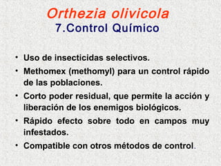Orthezia olivicola
7.Control Químico
• Uso de insecticidas selectivos.
• Methomex (methomyl) para un control rápido
de las poblaciones.
• Corto poder residual, que permite la acción y
liberación de los enemigos biológicos.
• Rápido efecto sobre todo en campos muy
infestados.
• Compatible con otros métodos de control.
 
