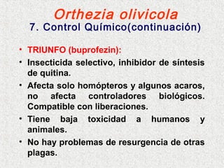 Orthezia olivicola
7. Control Químico(continuación)
• TRIUNFO (buprofezin):
• Insecticida selectivo, inhibidor de síntesis
de quitina.
• Afecta solo homópteros y algunos acaros,
no afecta controladores biológicos.
Compatible con liberaciones.
• Tiene baja toxicidad a humanos y
animales.
• No hay problemas de resurgencia de otras
plagas.
 