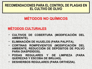 RECOMENDACIONES PARA EL CONTROL DE PLAGAS EN
EL CULTIVO DE OLIVO
MÉTODOS NO QUÍMICOS
• CULTIVOS DE COBERTURA (MODIFICACIÓN DEL
AMBIENTE).
• ELIMINACIÓN DE HIJUELOS (PARA PALPITA).
• CORTINAS ROMPEVIENTOS (MODIFICACIÓN DEL
AMBIENTE, REDUCCIÓN DE DEPÓSITOS DE POLVO
PARA DIASPIDIDOS).
• PODAS REGULARES Y DE LIMPIEZA (PARA
QUEREZAS Y ESCOBA DE BRUJAS).
• DESHIERBOS REGULARES (PARA ORTHEZIA).
MÉTODOS CULTURALES
 