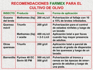 RECOMENDACIONES FARMEX PARA EL
CULTIVO DE OLIVO
INSECTO Producto Dosis Forma de aplicación
Gusano Methomex (liq) 200 mL/cil Pulverización al follaje con 10
del brote a 15% de brotes infestados.
Queresa Triunfo 200 g/cil Pulverización para el control
móvil de estados ninfales y luego de
un lavado
Methomex (liq) 400 mL/cil Aplicación total o por focos
+ aceite + 2-3 L/cil cuando hay mayor presencia
de adultos.
Otras Triunfo 200 g/cil Aplicación total o parcial de
queresas acuerdo al grado de dispersión
de las queresas y luego de un
lavado.
Barrenillo Pyrinex 48 EC 500 mL/cil Pulverización al tronco y
Sevin 85 PM 500 g/cil ramas en las épocas de emer-
gencia de adultos y luego de
una poda.
 