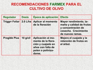RECOMENDACIONES FARMEX PARA EL
CULTIVO DE OLIVO
Regulador Dosis Época de aplicación Efecto
Triggrr Foliar 2.0 L/ha Aplicar al momento Mayor rendimiento, ta-
de la floración maño y calidad de frutos
y concentración de
cosecha. Crecimiento
de nuevas ramas.
Progibb Plus 10 g/cil Aplicación al mo- Mejora el cuajado y la
mento de la flora- retención de frutos en
ción y cuajado en el árbol.
años con falta de
polen o poliniza-
dores.
 