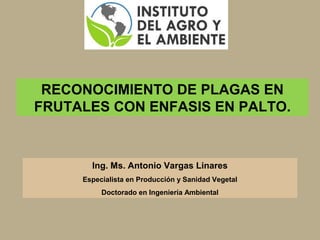 RECONOCIMIENTO DE PLAGAS EN
FRUTALES CON ENFASIS EN PALTO.
Ing. Ms. Antonio Vargas Linares
Especialista en Producción y Sanidad Vegetal
Doctorado en Ingeniería Ambiental
 