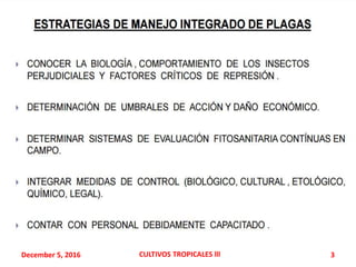 December 5, 2016 CULTIVOS TROPICALES lll 3
 
