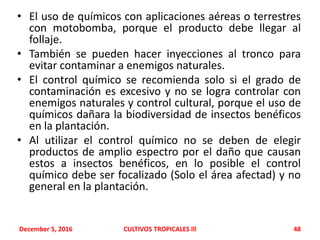 • El uso de químicos con aplicaciones aéreas o terrestres
con motobomba, porque el producto debe llegar al
follaje.
• También se pueden hacer inyecciones al tronco para
evitar contaminar a enemigos naturales.
• El control químico se recomienda solo si el grado de
contaminación es excesivo y no se logra controlar con
enemigos naturales y control cultural, porque el uso de
químicos dañara la biodiversidad de insectos benéficos
en la plantación.
• Al utilizar el control químico no se deben de elegir
productos de amplio espectro por el daño que causan
estos a insectos benéficos, en lo posible el control
químico debe ser focalizado (Solo el área afectad) y no
general en la plantación.
December 5, 2016 CULTIVOS TROPICALES lll 48
 