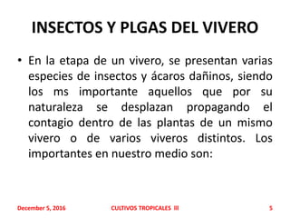 INSECTOS Y PLGAS DEL VIVERO
• En la etapa de un vivero, se presentan varias
especies de insectos y ácaros dañinos, siendo
los ms importante aquellos que por su
naturaleza se desplazan propagando el
contagio dentro de las plantas de un mismo
vivero o de varios viveros distintos. Los
importantes en nuestro medio son:
December 5, 2016 CULTIVOS TROPICALES lll 5
 