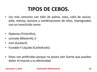 TIPOS DE CEBOS.
• Los más comunes son tallo de palma, coco, caña de azúcar,
piña, melaza, banano y combinaciones de ellos, impregnados
con un insecticida como:
• Dipterex (Triclorfón),
• Lannate (Metomil), S
• evin (Carbaril)
• Furadán F Líquido (Carbofurán).
• Estos son preferidos porque no posee olor fuerte que puedan
dañar el insecto y su efectividad.
December 5, 2016 CCULTIVOS TROPICALES lll 58
 