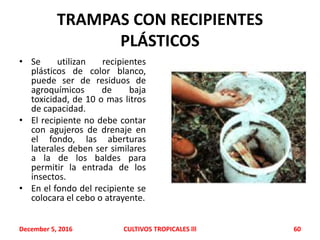 TRAMPAS CON RECIPIENTES
PLÁSTICOS
• Se utilizan recipientes
plásticos de color blanco,
puede ser de residuos de
agroquímicos de baja
toxicidad, de 10 o mas litros
de capacidad.
• El recipiente no debe contar
con agujeros de drenaje en
el fondo, las aberturas
laterales deben ser similares
a la de los baldes para
permitir la entrada de los
insectos.
• En el fondo del recipiente se
colocara el cebo o atrayente.
December 5, 2016 CULTIVOS TROPICALES lll 60
 