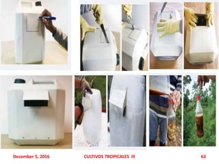 December 5, 2016 CULTIVOS TROPICALES lll 63
 
