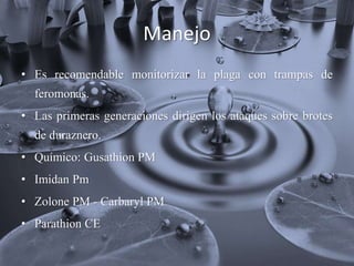 Manejo
• Es recomendable monitorizar la plaga con trampas de
feromonas.
• Las primeras generaciones dirigen los ataques sobre brotes
de duraznero.
• Químico: Gusathion PM
• Imidan Pm
• Zolone PM - Carbaryl PM
• Parathion CE
 