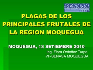 PLAGAS DE LOS PRINCIPALES FRUTALES DE LA REGION MOQUEGUA MOQUEGUA, 13 SETIEMBRE 2010 Ing. Flora Ordoñez Turpo VF-SENASA MOQUEGUA 