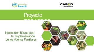 Proyecto
FORAGROS
Información Básica para
la Implementación
de los Huertos Familiares
 