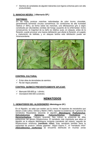  Siembra de variedades de algodón tolerantes (con ligeros síntomas pero con alta productividad). 
3.- MANCHA NEGRA ( Alternaria SP.) 
SINTOMAS: 
En las hojas produce manchas redondeadas de color brumo chocolate, generalmente formando círculos concéntricos. En condiciones de alta humedad relativa (> 90%), se forma sobre las manchas, una eflorescencia gris a negro constituida por abundantes conidias del hongo causante de la enfermedad. Como consecuencia, la magnitud de su daño es relativa; pues, en ataques, antes de la floración, puede provocar una masiva defoliación que afecta la floración, el cuajado y maduración de bellotas, y en ataques tardíos esta defoliación puede ser intranscendente. 
CONTROL CULTURAL 
 Evitar altas de densidades de siembra. 
 No dar riegos pesados. 
CONTROL QUÍMICO PREVENTIVAMENTE APLICAR: 
 Manozeb 500-800 gr. / cilindro. 
 Clorotalonil 400-500 cc/cilindro. 
NEMATODOS 
1.- NEMATODOS DEL ALGODONERO (Meloidogyne SP.) 
En el Algodón, se sabe que existen por lo menos 16 especies de nematodos que atacan a este cultivo. Gómez y Martín (1967), reportan la existencia de 7 géneros de nemátodos fitoparásitos atacando el algodón: Meloidogyne, Prathylenchus, Helicotylenchus, Xiphinema, Tylenchorhinchus, Trichodorus, y Herniciycliophora. Trabajos recientes, Nos indican la presencia de altas poblaciones del género Rotylenchulus. El nemátodo más importante que ataca al algodón es la especie Meloidogyne incógnita (nemátodo del nódulo), seguido de Rotylenchulus reniformis (nemátodo riñón). Este nemátodo también tiene la capacidad de producir “células gigantes”. Según Espino F., el “nemátodo riñón” (Helicotilenchus reniformes) se encuentra distribuido en muchas zonas  