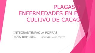 PLAGAS Y
ENFERMEDADES EN EL
CULTIVO DE CACAO
INTEGRANTE:PAOLA PORRAS,
EDIS RAMIREZ. DOCENTE: JAIME CORTEZ
 