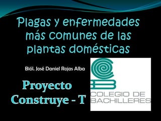 Plagas y enfermedades más comunes de las plantas domésticas Biól. José Daniel Rojas Alba Proyecto  Construye - T 
