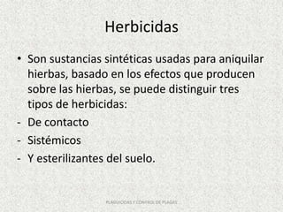 Herbicidas
• Son sustancias sintéticas usadas para aniquilar
hierbas, basado en los efectos que producen
sobre las hierbas, se puede distinguir tres
tipos de herbicidas:
- De contacto
- Sistémicos
- Y esterilizantes del suelo.
PLAGUICIDAS Y CONTROL DE PLAGAS
 