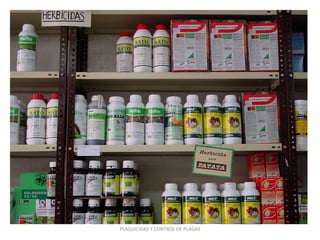 PLAGUICIDAS Y CONTROL DE PLAGAS
 