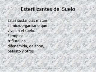 Esterilizantes del Suelo
Estas sustancias matan
al microorganismo que
vive en el suelo.
Ejemplos: la
trifluralina,
difenamida, dalapón,
batilato y otros
PLAGUICIDAS Y CONTROL DE PLAGAS
 