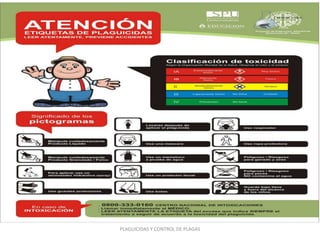 PLAGUICIDAS Y CONTROL DE PLAGAS
 