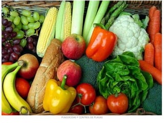 PLAGUICIDAS Y CONTROL DE PLAGAS
 