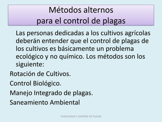 Métodos alternos
para el control de plagas
Las personas dedicadas a los cultivos agrícolas
deberán entender que el control de plagas de
los cultivos es básicamente un problema
ecológico y no químico. Los métodos son los
siguiente:
Rotación de Cultivos.
Control Biológico.
Manejo Integrado de plagas.
Saneamiento Ambiental
PLAGUICIDAS Y CONTROL DE PLAGAS
 