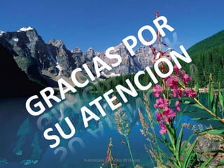 PLAGUICIDAS Y CONTROL DE PLAGAS
 