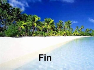Fin