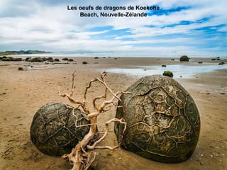 Les oeufs de dragons de Koekohe 
Beach, Nouvelle-Zélande
 