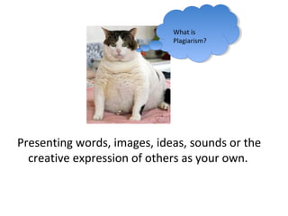 What is
                             Plagiarism?




Presenting words, images, ideas, sounds or the
  creative expression of others as your own.
 