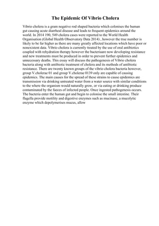 The Epidemic Of Vibrio Cholera
Vibrio cholera is a gram negative rod shaped bacteria which colonises the human
gut causing acute diarrheal disease and leads to frequent epidemics around the
world. In 2014 190, 549 cholera cases were reported to the World Health
Organisation (Global Health Observatory Data 2014) , however the true number is
likely to be far higher as there are many greatly affected locations which have poor or
nonexistent data. Vibrio cholera is currently treated by the use of oral antibiotics
coupled with rehydration therapy however the bacteriaare now developing resistance
and new treatments must be produced in order to prevent further epidemics and
unnecessary deaths. This essay will discuss the pathogenesis of Vibrio cholera
bacteria along with antibiotic treatment of cholera and its methods of antibiotic
resistance. There are twenty known groups of the vibrio cholera bacteria however,
group V.cholerae 01 and group V.cholerae 0139 only are capable of causing
epidemics. The main causes for the spread of these strains to cause epidemics are
transmission via drinking untreated water from a water source with similar conditions
to the where the organism would naturally grow, or via eating or drinking produce
contaminated by the faeces of infected people. Once ingested pathogenesis occurs.
The bacteria enter the human gut and begin to colonise the small intestine. Their
flagella provide motility and digestive enzymes such as mucinase, a mucolytic
enzyme which depolymerises mucus, allow
 