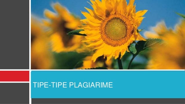 Plagiasi