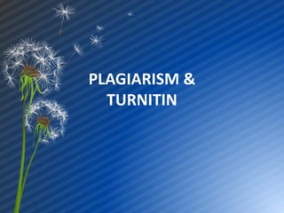 PLAGIARISM &
TURNITIN
 