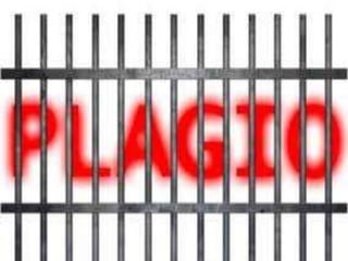 Plagio finalissimo