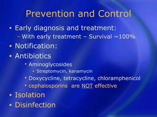 Prevention and Control
•   Early diagnosis and treatment:
    − With     early treatment – Survival ~100%
• Notification:
• Antibiotics
         Aminoglycosides
           •   Streptomycin, kanamycin
         Doxycycline, tetracycline, chloramphenicol
         cephalosporins are NOT effective
• Isolation
• Disinfection
 