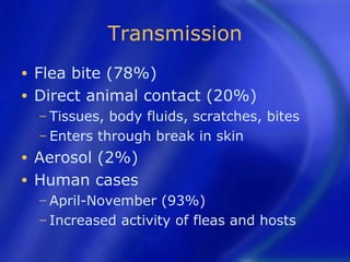 Transmission
• Flea bite (78%)
• Direct animal contact (20%)
    − Tissues, body fluids, scratches, bites
    − Enters through break in skin

• Aerosol (2%)
• Human cases
    − April-November   (93%)
    − Increased activity of fleas and hosts
 