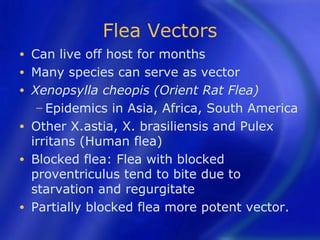 Flea Vectors
•   Can live off host for months
•   Many species can serve as vector
•   Xenopsylla cheopis (Orient Rat Flea)
     − Epidemics in Asia, Africa, South America
•   Other X.astia, X. brasiliensis and Pulex
    irritans (Human flea)
•   Blocked flea: Flea with blocked
    proventriculus tend to bite due to
    starvation and regurgitate
•   Partially blocked flea more potent vector.
 