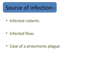 Source of infection:-

• Infected rodents

• Infected fleas

• Case of a pneumonic plague
 