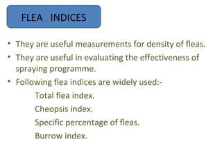 FLEA INDICES

• They are useful measurements for density of fleas.
• They are useful in evaluating the effectiveness of
  spraying programme.
• Following flea indices are widely used:-
       Total flea index.
       Cheopsis index.
       Specific percentage of fleas.
       Burrow index.
 