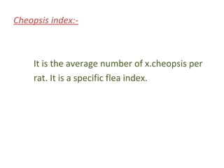Cheopsis index:-



    It is the average number of x.cheopsis per
    rat. It is a specific flea index.
 