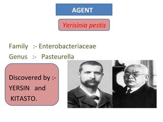 AGENT

                   Yerisinia pestis

Family :- Enterobacteriaceae
Genus :- Pasteurella

Discovered by :-
YERSIN and
KITASTO.
 