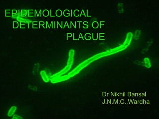 EPIDEMOLOGICAL
 DETERMINANTS OF
         PLAGUE




               Dr Nikhil Bansal
               J.N.M.C.,Wardha
 