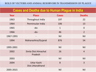 ROLE OF VECTORS AND ANIMAL RESORVOIR IN TRANSMISSION OF PLAGUE
Cases and Deaths due to Human Plague in India
Year Place Cases Deaths
1963 Throughout India 197 22
1964 Penninsular India 106 13
1965 -do- 1 0
1966 -do- 46 2
1967-1993 - Nil Nil
1994 Maharashtra/Gujarat 876 54
1995-2001 Nil Nil
2002 Simla Dist.Himachal
Pradesh
16 4
2003 Nil Nil
2004 Uttar Kashi
Dist.Uttarakhand
8 3
2005-2015 - Nil Nil