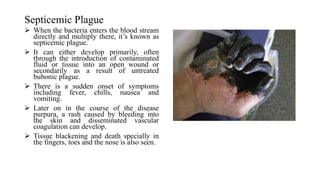 Septicemic Plague
 When the bacteria enters the blood stream
directly and multiply there, it’s known as
septicemic plague.
 It can either develop primarily, often
through the introduction of contaminated
fluid or tissue into an open wound or
secondarily as a result of untreated
bubonic plague.
 There is a sudden onset of symptoms
including fever, chills, nausea and
vomiting.
 Later on in the course of the disease
purpura, a rash caused by bleeding into
the skin and disseminated vascular
coagulation can develop.
 Tissue blackening and death specially in
the fingers, toes and the nose is also seen.
 