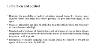Prevention and control
• Diminish the possibility of rodent infestation around homes by clearing away
cluttered debris and apply flea control products for pets that roam freely in the
open.
• Means of prevention can also be applied in hospital settings where the possibility
of transmission can be high.
• Standardized procedures of handwashing and utilization of gowns, latex gloves,
and protective devices should be followed to protect all body orifices from coming
into contact with Y. pestis.
• Restrictions of patients suspected with plague should be enacted to prevent the
spread of disease to other individuals.
 