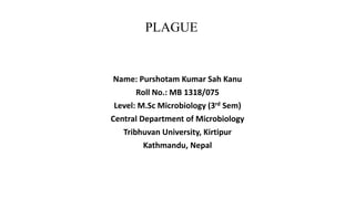 PLAGUE
Name: Purshotam Kumar Sah Kanu
Roll No.: MB 1318/075
Level: M.Sc Microbiology (3rd Sem)
Central Department of Microbiology
Tribhuvan University, Kirtipur
Kathmandu, Nepal
 