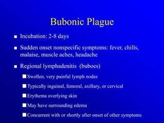 plague(1).ppt