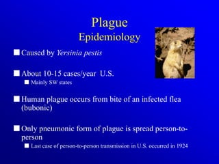 plague(1).ppt