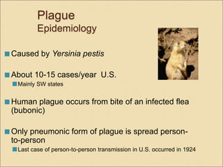 Plague
Epidemiology
 Caused by Yersinia pestis
 About 10-15 cases/year U.S.
Mainly SW states
 Human plague occurs from bite of an infected flea
(bubonic)
 Only pneumonic form of plague is spread person-
to-person
Last case of person-to-person transmission in U.S. occurred in 1924
 